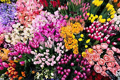 RTX 4090、4080 16GB＆12GB频率＆功耗全泄露：老黄临时改主意